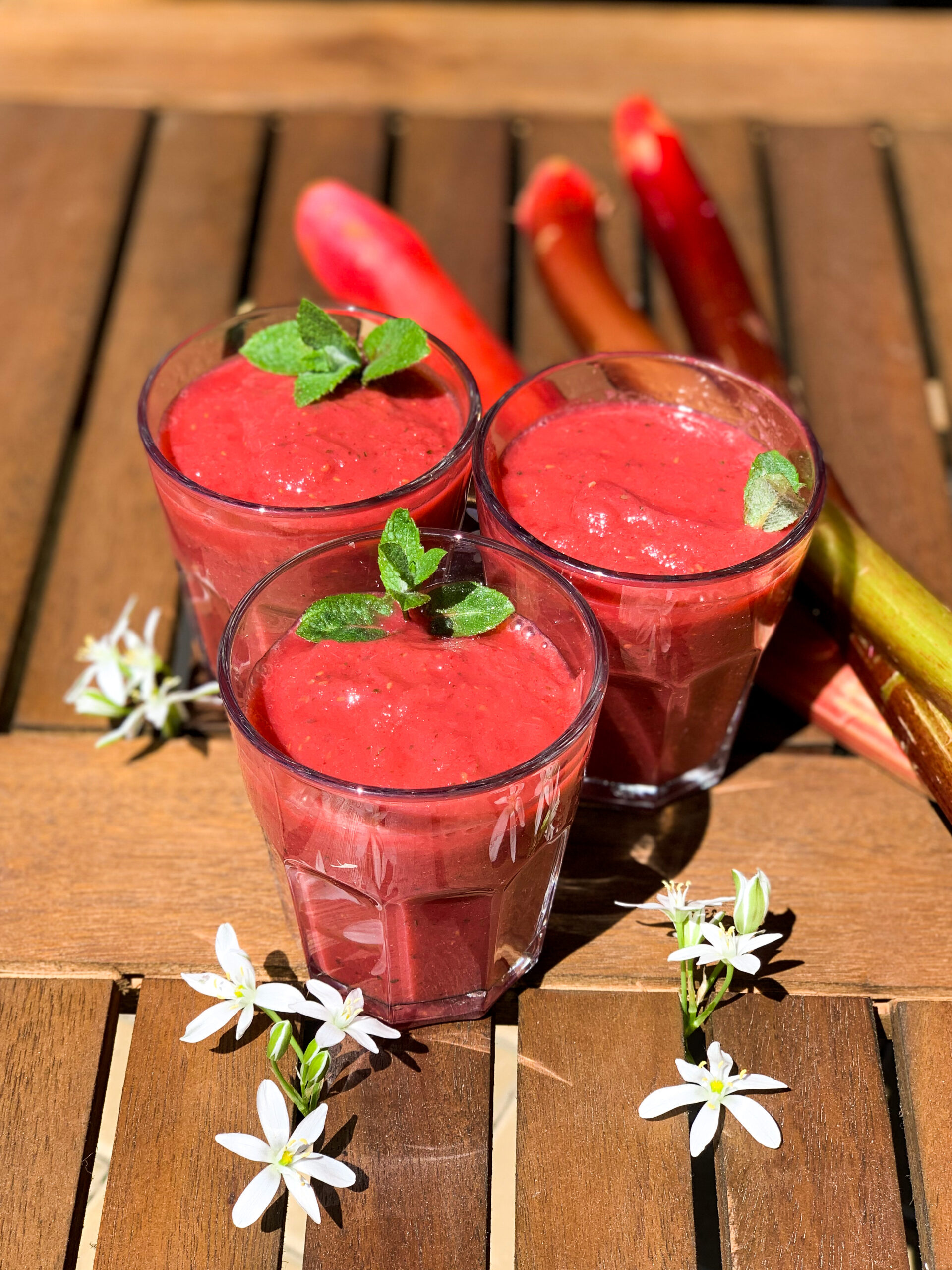 Read more about the article RZEŚKIE SMOOTHIE Z RABARBAREM